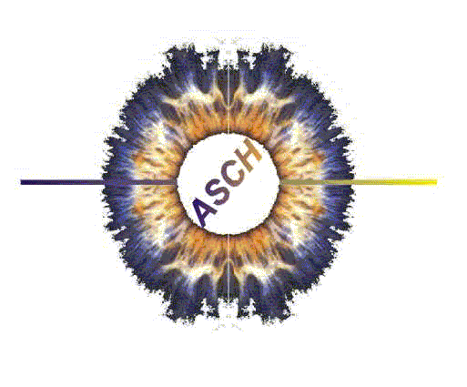 ASCH Associates logo